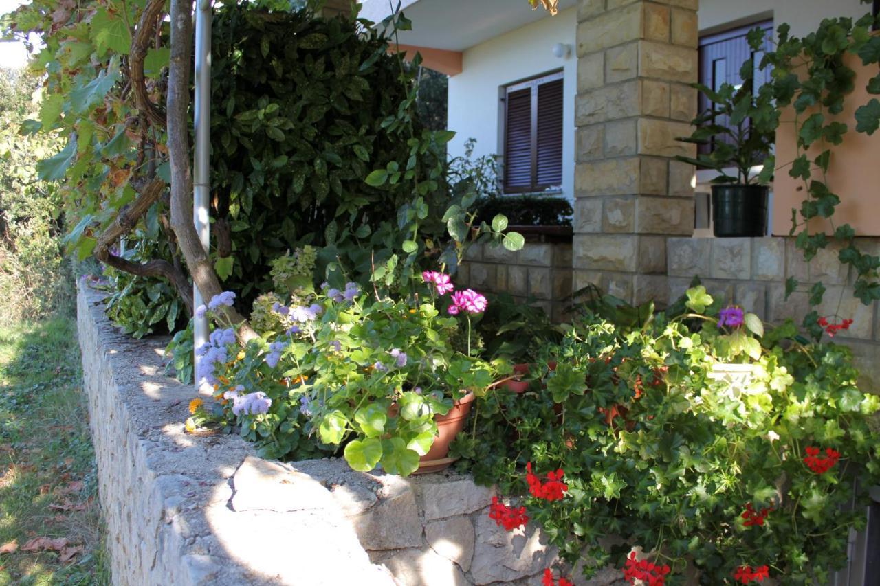 Family Friendly Seaside Apartments Kozino, Zadar - 5749 Petrcane Ngoại thất bức ảnh
